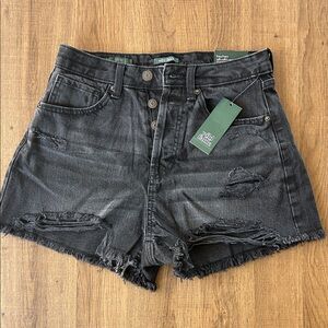 Wild Fable Charcoal Distressed Jean Shorts